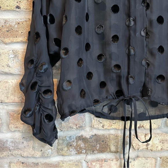 J. Crew Sheer Black Top w/ Velvet Polka Dots & Ruched Sleeves - Picture 4 of 8